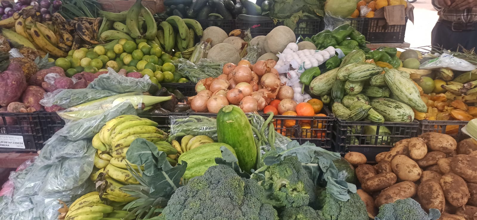 Del Campo a La Mesa de la canasta básica con los mejores precios en Ahorro Ferias «El Lempirita»