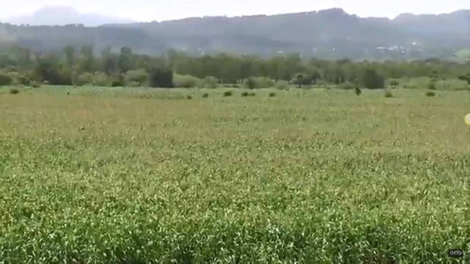 Proponen en CN traspasar tierras incautadas a grupos de campesinos