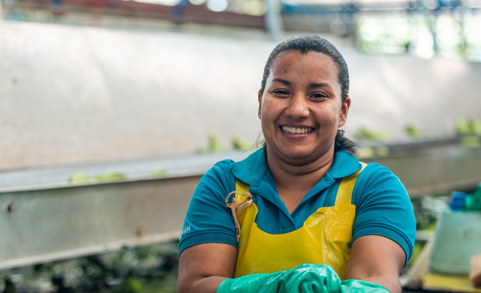 Empresa productora de melones del Sur y Oriente del país, publica segundo informe sobre derechos humanos de sus fincas