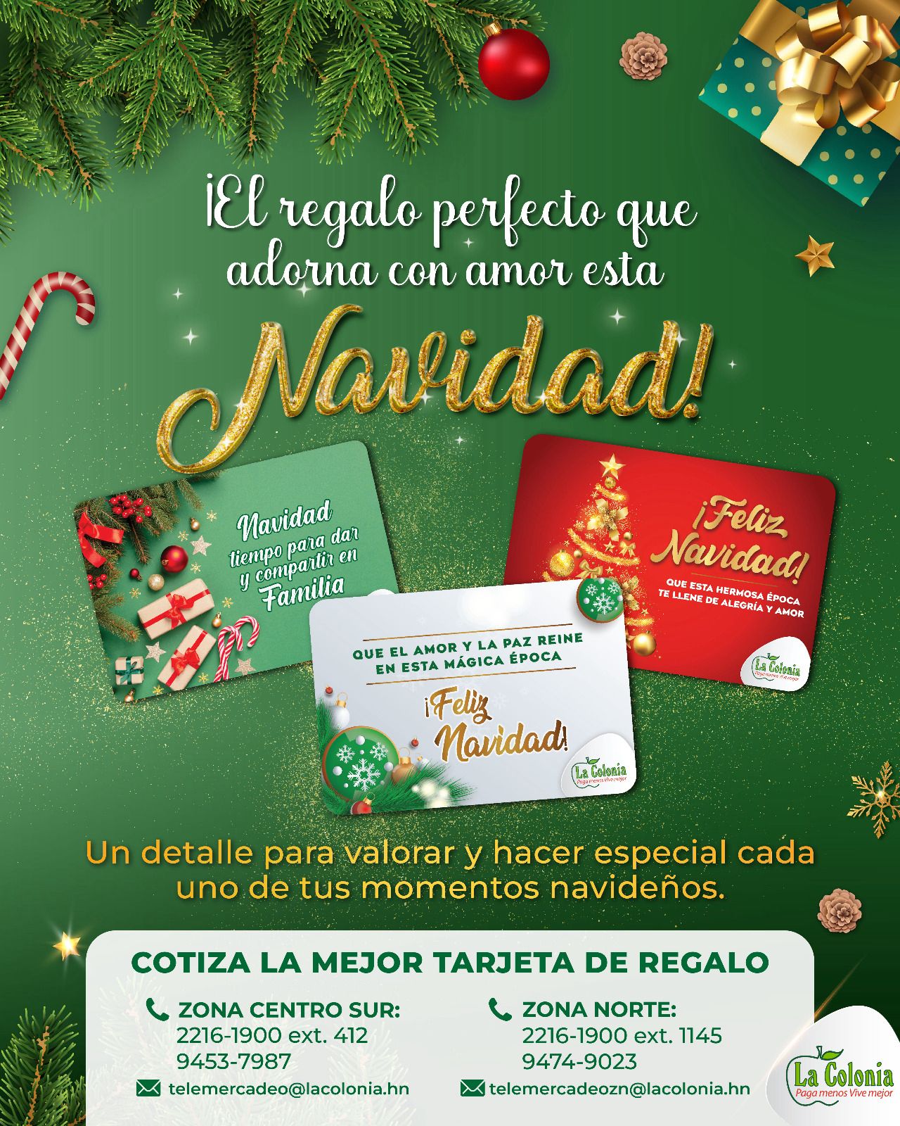 ¡Noviembre Verde en La Colonia El Mes Más Esperado del Año Ha Llegado!